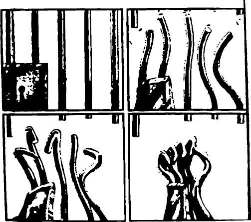 Update on Calais 8’s trial : State shows again its true colors // L’État nous montre encore… calaismigrantsolidarity.wordpress.com/2016/02/23/upd…