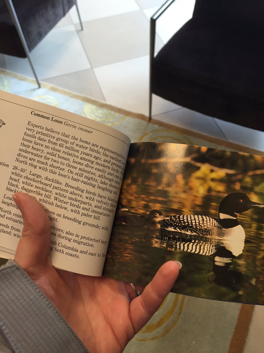 FullyLoadedMagg's tweet photo. There's a picture of me in this book! https://t.co/v7XNxb1RSo