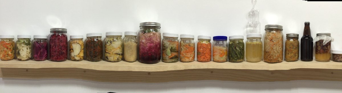 SE_Nash's tweet photo. My show They/Them/Their is up at Black Ball in WB, BKLN. Tasting March 9. #fermentation #sculptures #kimchi #foodart https://t.co/ZcnegJuYqF