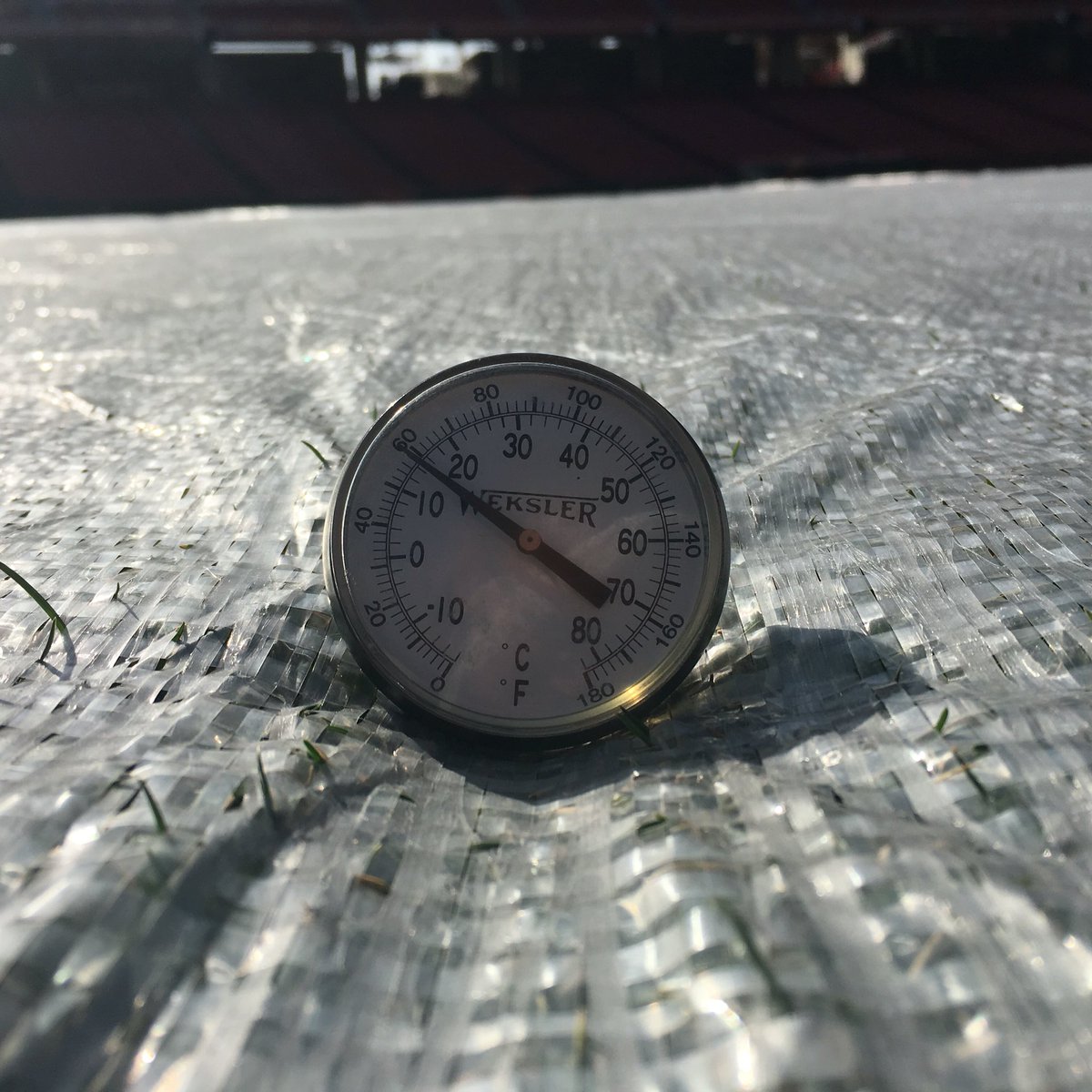 TurfSpartanLord's tweet photo. Canopy temperature 72F. Soil temp at 2.5" is 58F. #BundledUp #BlanketsWork https://t.co/DjCIdA1UFj
