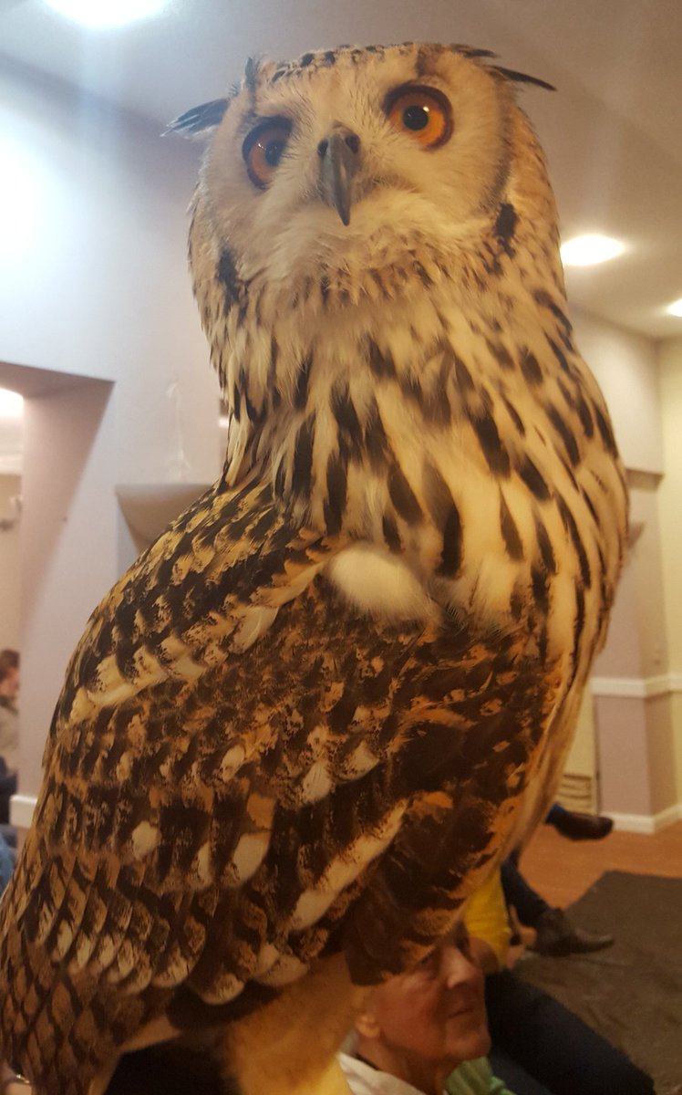 GriffCommTrust tweet picture