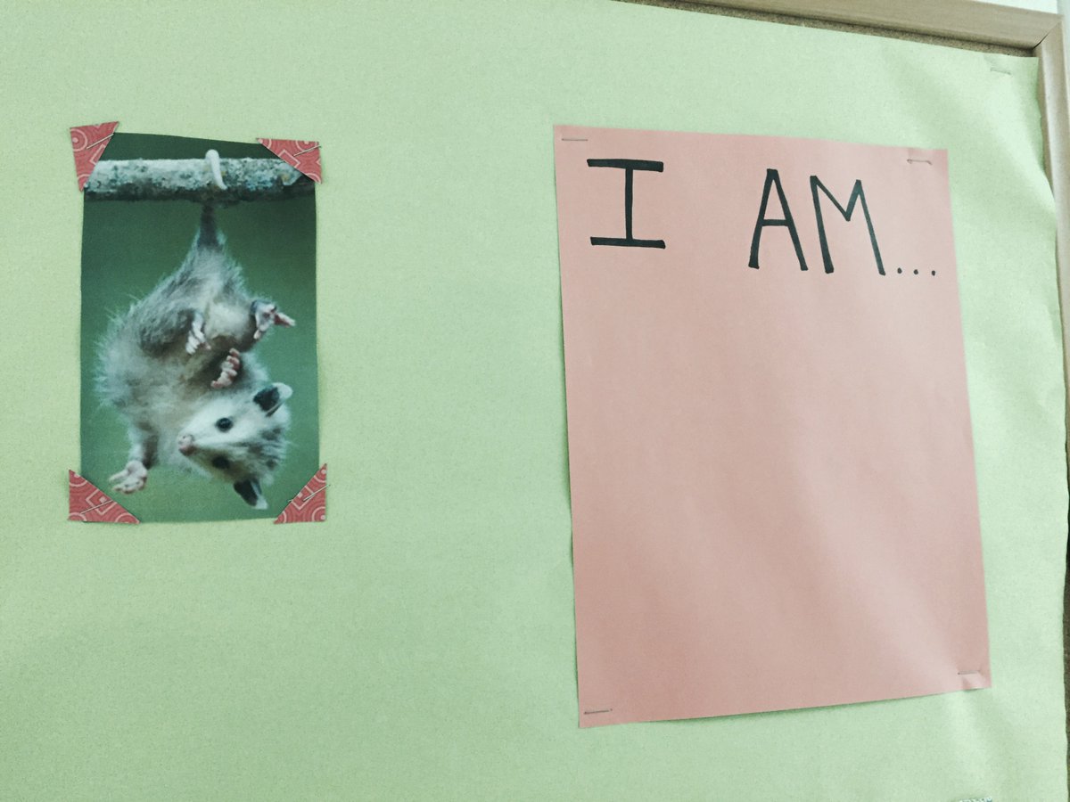 tinyshalhoub's tweet photo. Who gets to fill in the blank? Is individual identity socially constructed? #RELtide #IAmOpossum https://t.co/RweNq60jxL