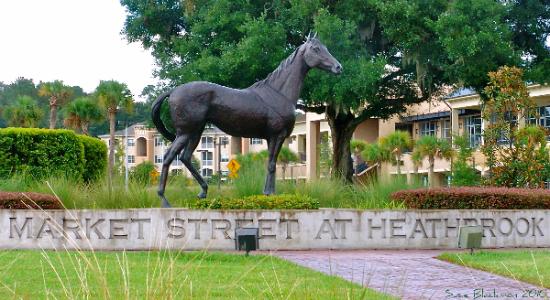 MarketStreetHB's tweet photo. "Needles" was a bay colt bred and raised in Ocala, Florida. An American Hall of Fame Champion Racehorse. https://t.co/OANxcEWstf