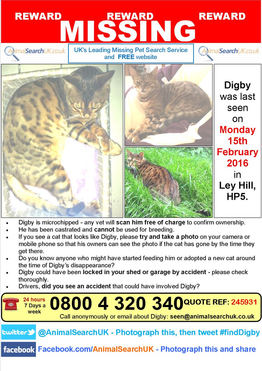 AnimalSearchUK's tweet photo. PLZ RT @VetPractitioner #missingcat #leyhill #bucks #hp5 #finddigby
https://t.co/V0NcSmv00F https://t.co/f9Sm6aAvVr