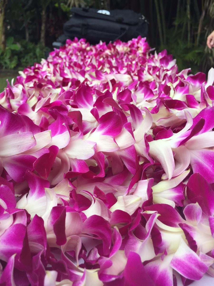 DaveBakerUSANA's tweet photo. Aloha from the Executive Diamond Summit in Maui. #usanalifestyle https://t.co/9kVxOiENFv