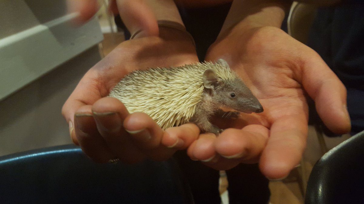 GriffCommTrust tweet picture