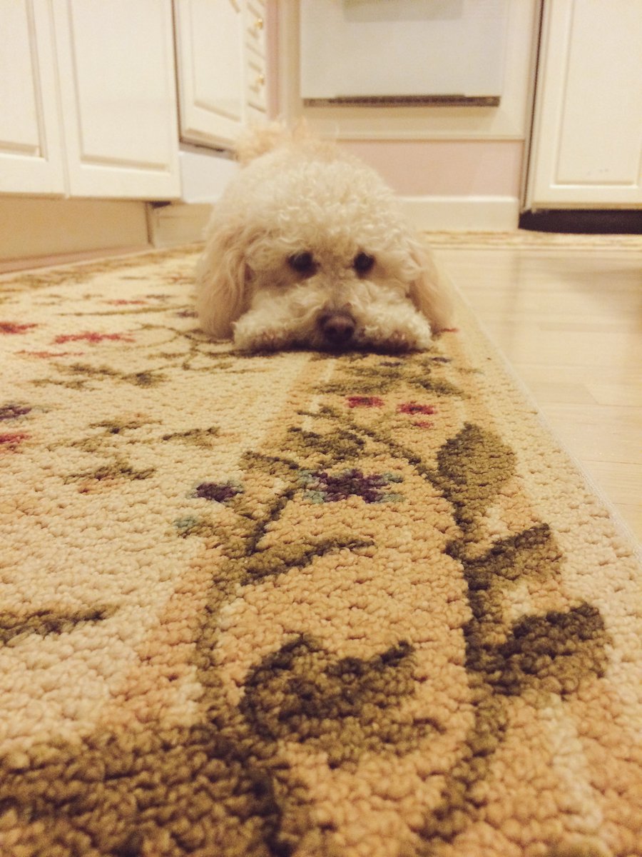 RileyAvil's tweet photo. when it's only Tuesday... https://t.co/xotNJKBeoQ