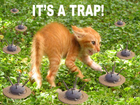 LOL_Cats (@lolcats_fun) on Twitter photo 