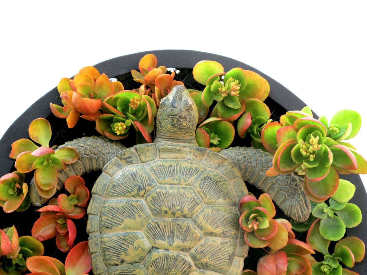 Honevo's tweet image. BIO-HERITAGE BIONIC PAINTING #BIONIC #BIONICPAINTINGS #CUADROSBIONICOS #HONEVO #DESIGN #SUSTAINABLEART #BIOCULTURE