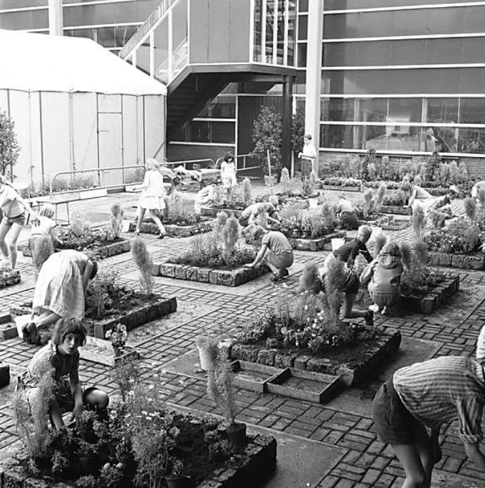 In 1960 bestond de #vierkantemetertuin al op de #Rotterdamse scholen. 
Anno 2016 is er de #GezondeSchooltuin