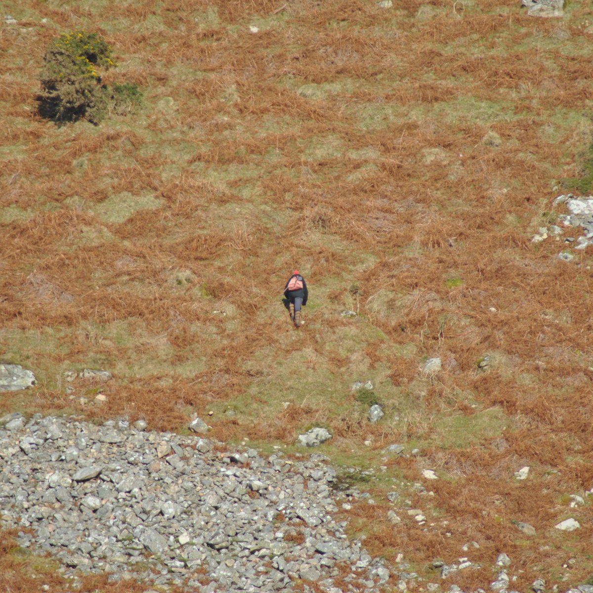 PatgBA's tweet image. There she goes! #explorer #nofear #llithfaen #NorthWales
