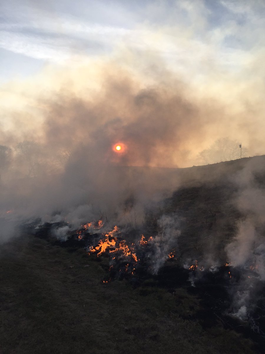 Trying to get some natural areas roasted today