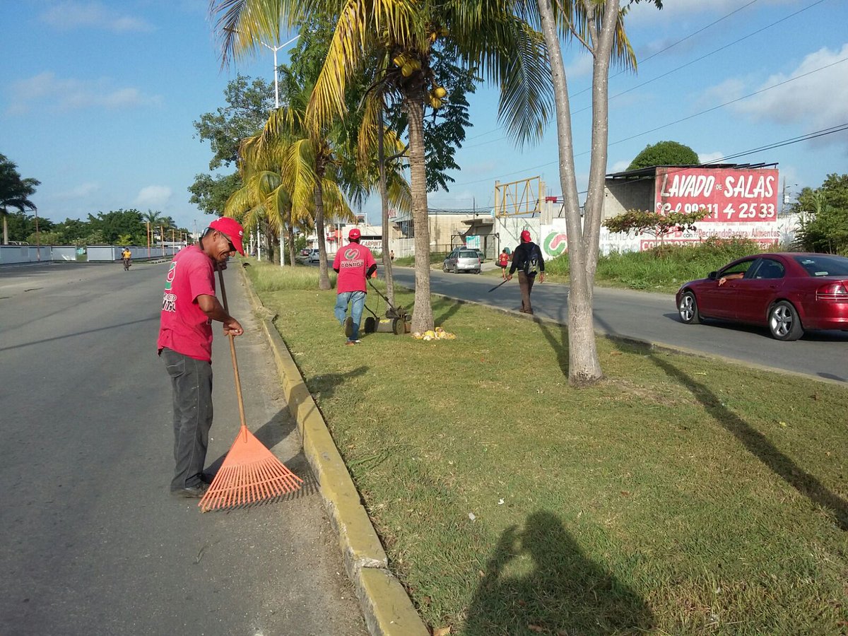 ProgramasRBA's tweet photo. Intensificando los trabajos de limpieza en la Capital, podado de camellones y banquetas en Av. Erick Paolo. https://t.co/kZ2VZHiJY1