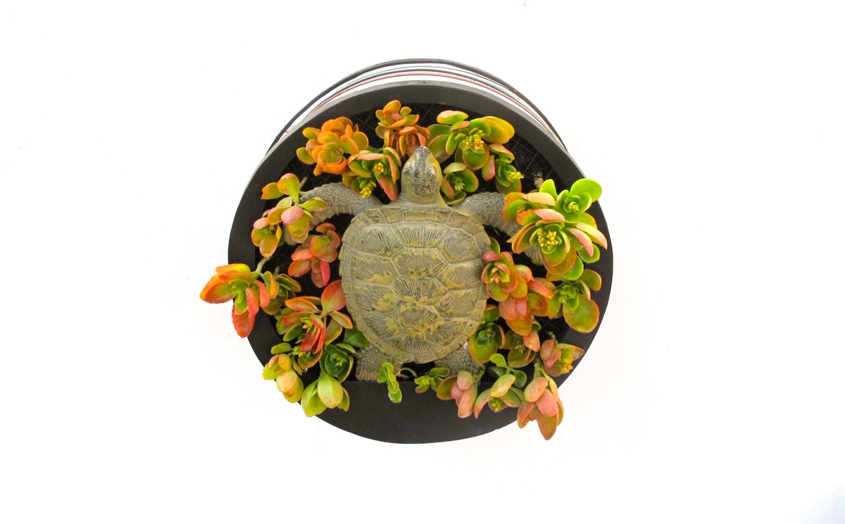 thebionicbook's tweet image. BIONIC ART - BIONIC PAINTINGS #BIONICPAINTINGS #DESIGNTOYS #CUADROSBIONICOS #BIHEMISPHERICART #ARTEBIHEMISFERICO