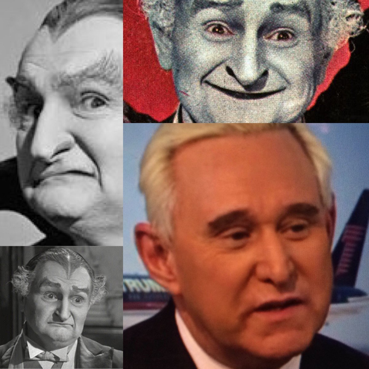 CarlyQRomalino's tweet photo. @davegisaac @JasonAlt_dj @RogerJStoneJr @CNN he's borderline Grandpa Munster in this photo. #borderlineretarded https://t.co/WC0aaQiTr5