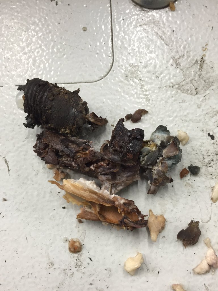 facebook.com/glueqa/posts/1…