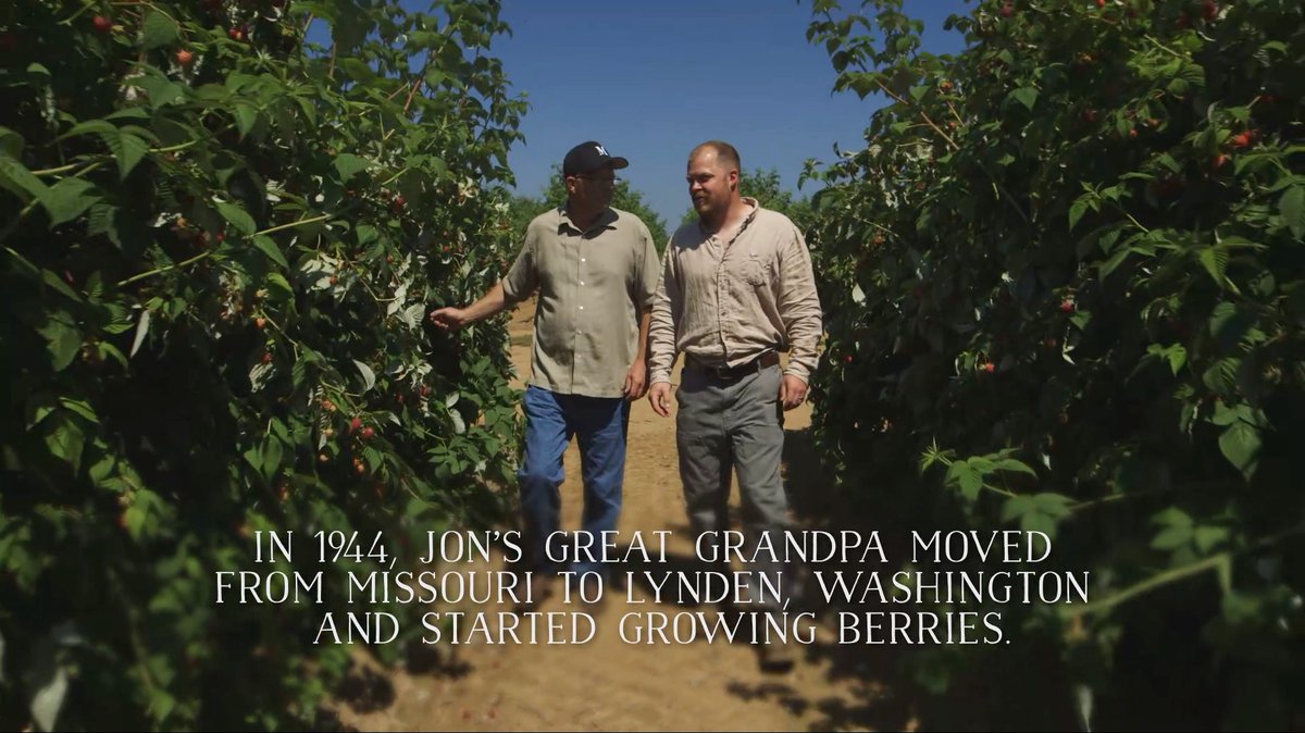 Red_Razz's tweet photo. Family: The Red Raspberry Farmer Tradition. Watch: https://t.co/7M1TnERmoy #RedRazz #RaspberryLovers https://t.co/IPGBryrSS4