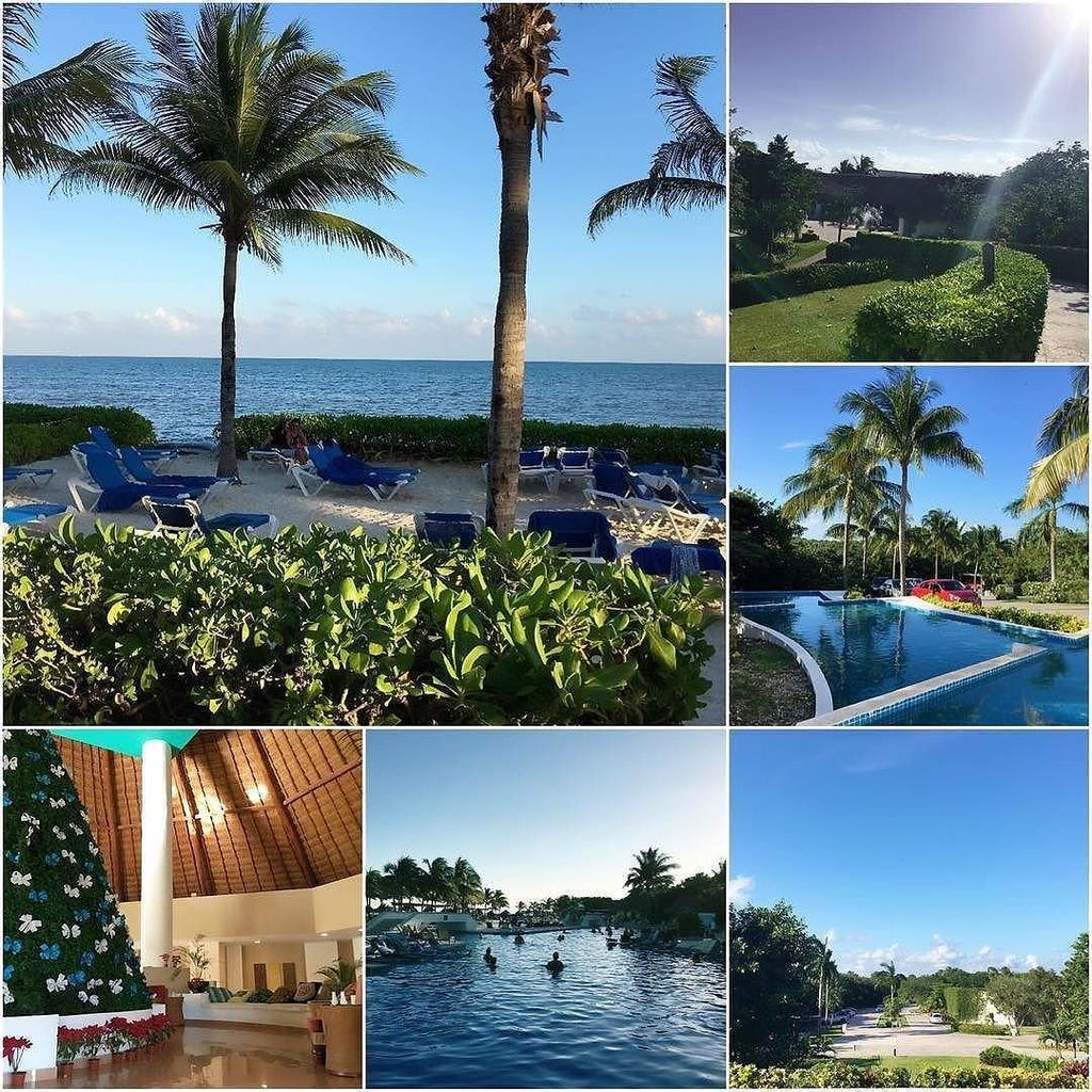 yucatango's tweet photo. #Cancun #Mexico is truly #Amazing Year Round! #Travel https://t.co/32M0an6g69 https://t.co/AZEZW0dsa9