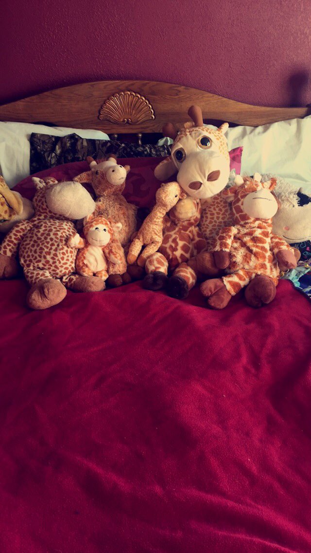 Katertottb's tweet photo. I have a problem lol ❤️ https://t.co/3GpEC1tAaA