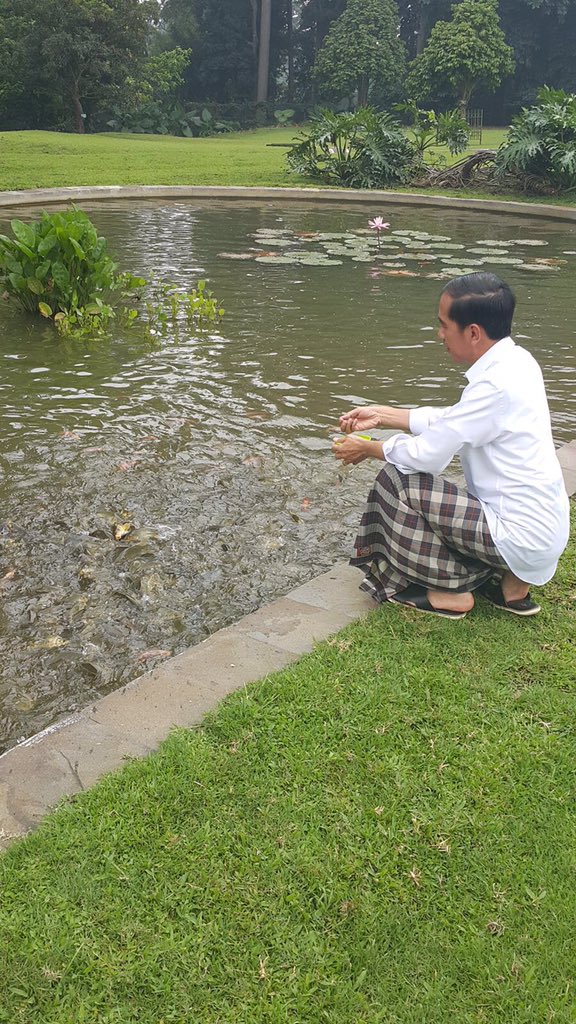 Hiburan pagi memberi makan ikan di kolam dan sungai -Jkw
