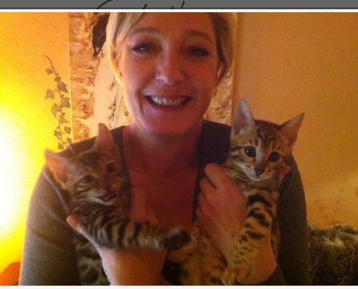 emile_lpz's tweet photo. Quoi de mieux pour gagner en popularité que faire un blog avec des chats? #MarineLePen
https://t.co/9Qeqb9IBH2 https://t.co/88DnPtwMhm