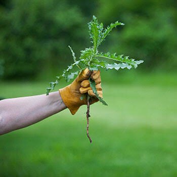 AdNews's tweet image. Those ad tech players focused on &quot;weeding out&quot; fraud are quickly getting ahead #programmatic16