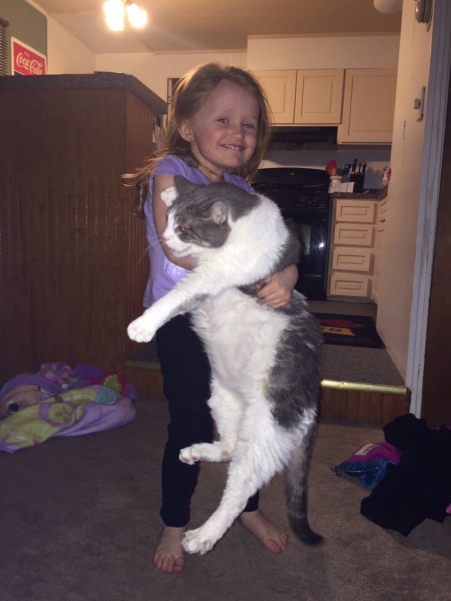 Marley_Cat's tweet photo. My little human giving me a hug #thecameraaddstenpounds #whichoneofusisbigger #cats #CatsOfTwitter https://t.co/F9atbuOVP0