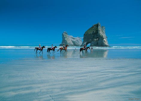 visit_nz's tweet photo. Off the beaten track: We explore NZ's hidden beaches- #travelnz #takemethere #newzealand #nz https://t.co/1rcldI13FZ https://t.co/xZ7AZM7h1X