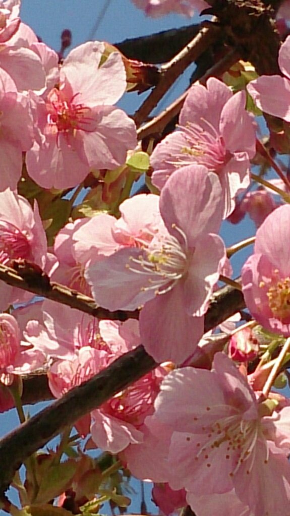 julia36J's tweet photo. Spring is just around the corner! https://t.co/5kRCqfGxpd