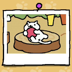 texasblackcat's tweet photo. #ねこあつめcutie https://t.co/PLby61PizQ