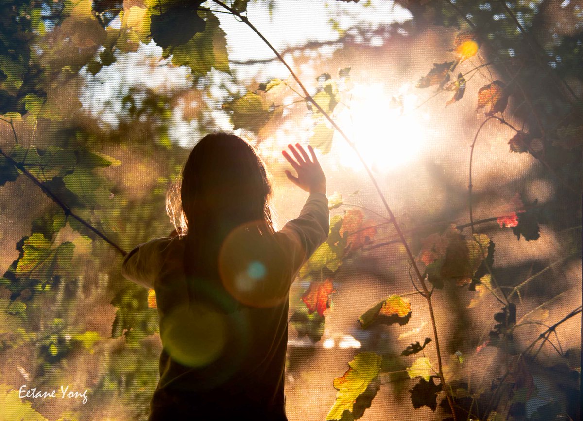 eetane's tweet image. Chasing Light.

#beautiful, #goldenlight #GoldenHour #sunset #photography #photo #photooftheday