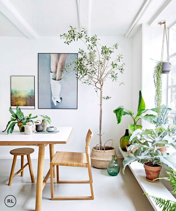 green plant #decor