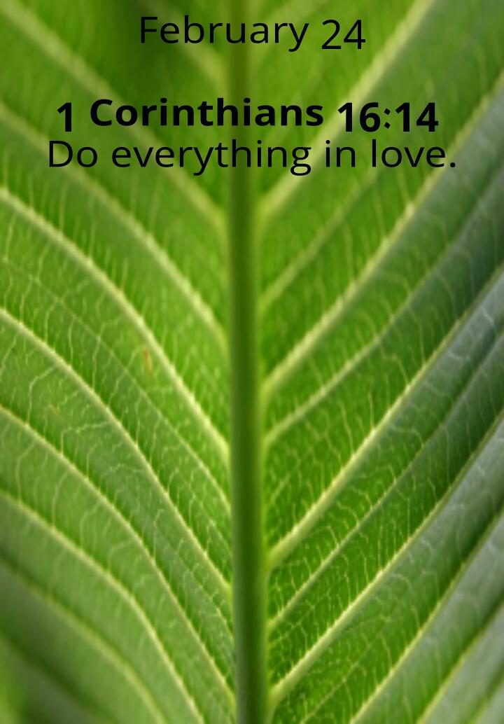 LiapengM's tweet image. 1 Corinthians 16:14
Do everything in love...
play.google.com/store/apps/det…