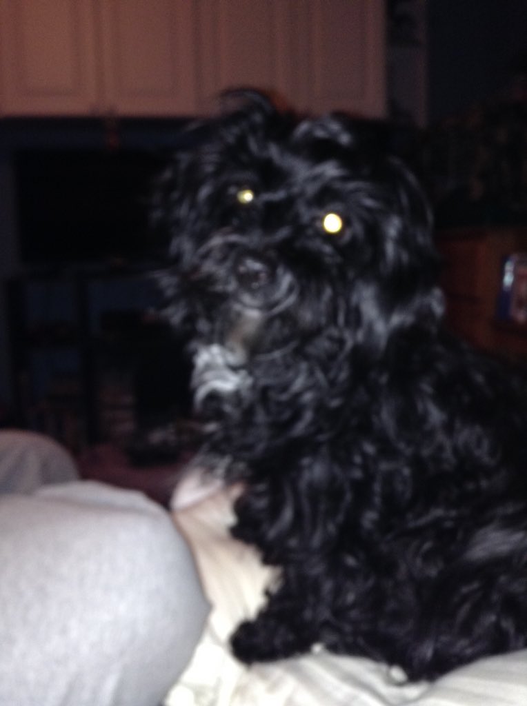 BDefronzo's tweet image. 