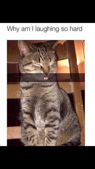 Hehehe 😹😹 https://t.co/MyTw3SkuEA<a href="/tag/hitthespot"class="tags"><span>#hitthespot</span></a>