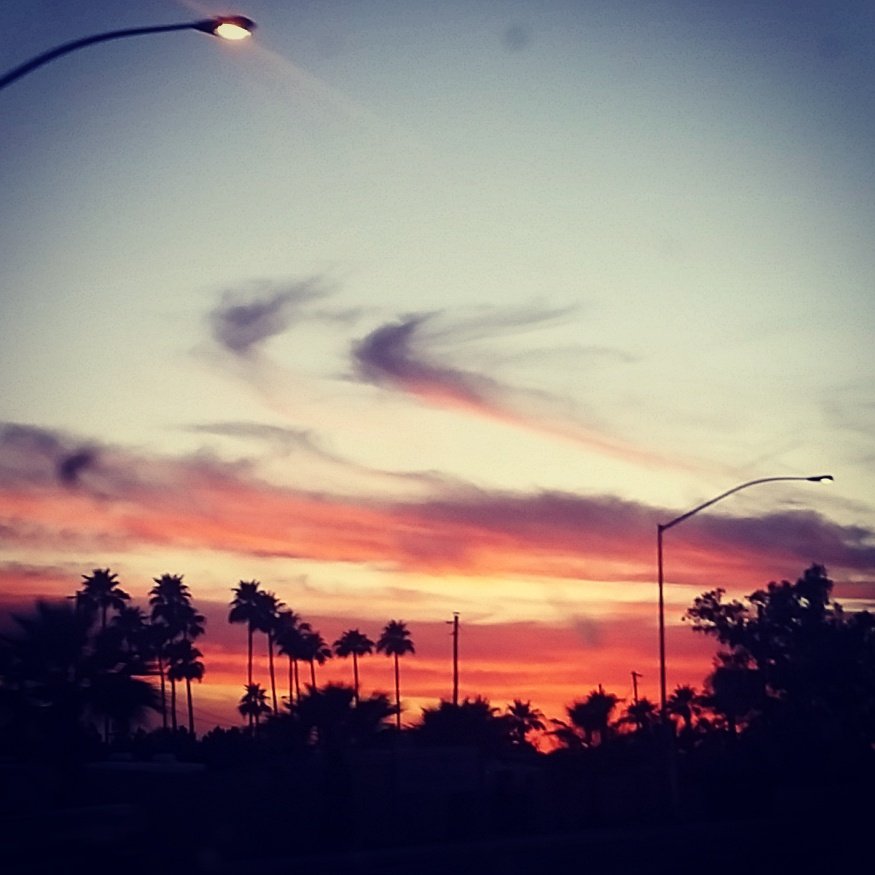 Udder Delights tweet media