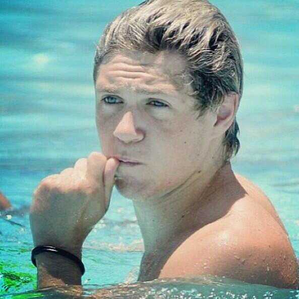 allpicsof1d tweet picture