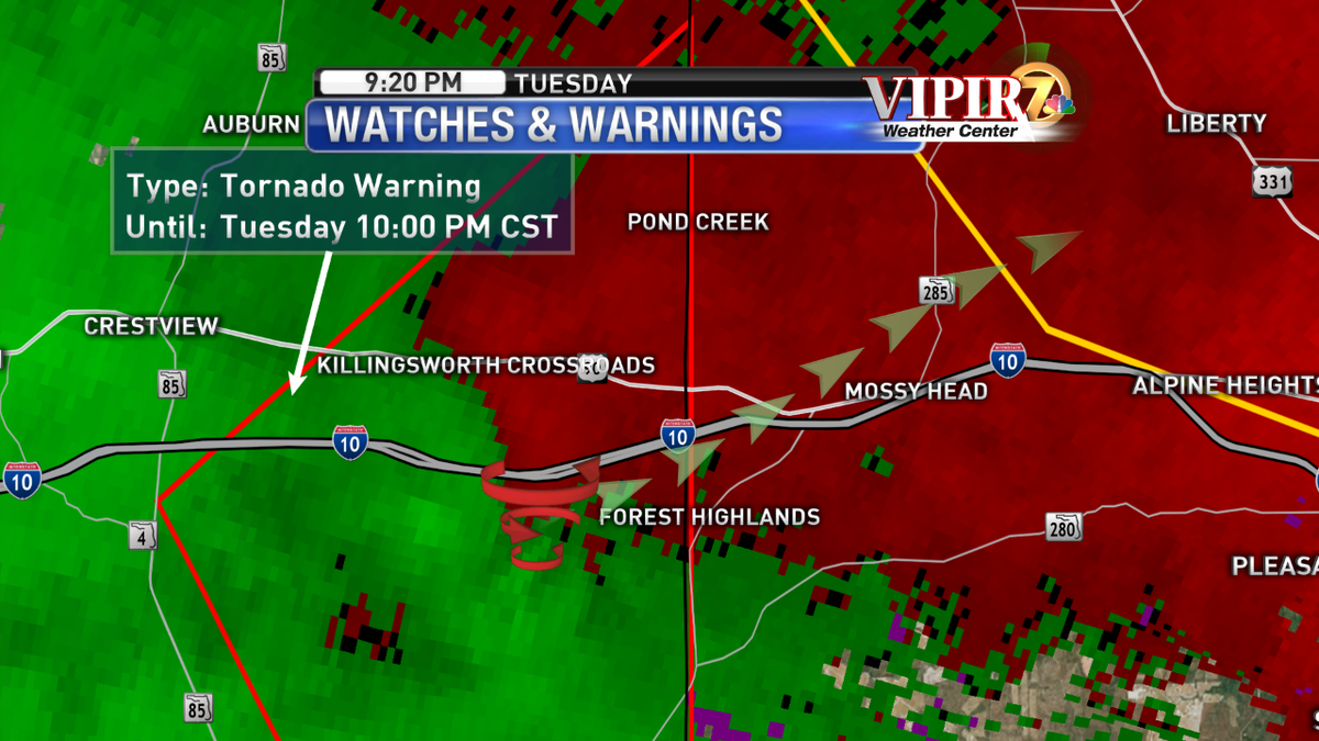 Mossy Head Latest news, Breaking headlines and Top stories, photos