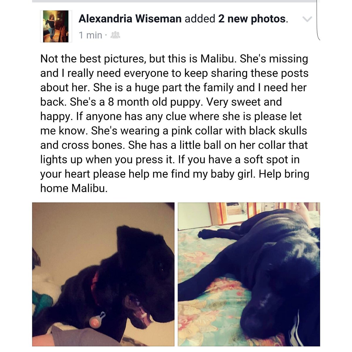 Adubb_96's tweet photo. #HelpFindMyDog #princegeorge
Please RT this. I need my girl back https://t.co/eHiriFJlvB