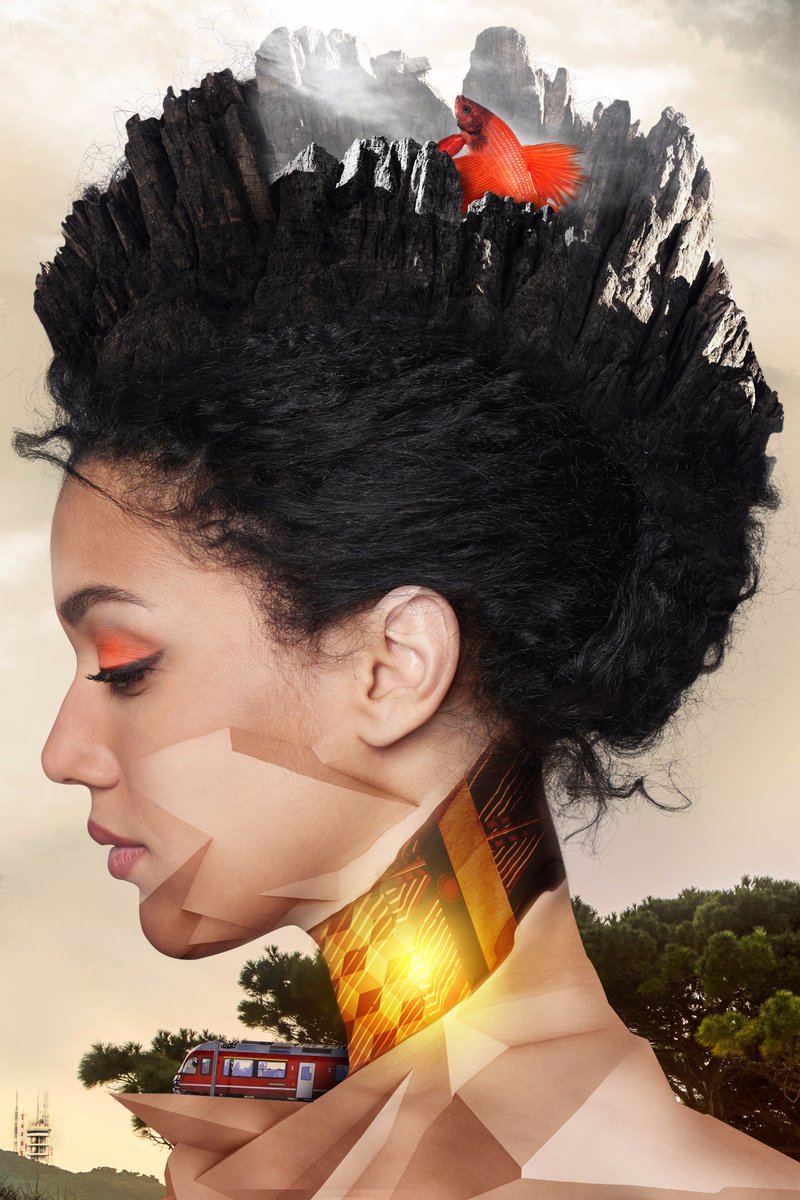 GigawattGraphic's tweet image. A new project created for the @adobestock #TakeTenContest! #photoshop #composition #CC be.net/gallery/343425…