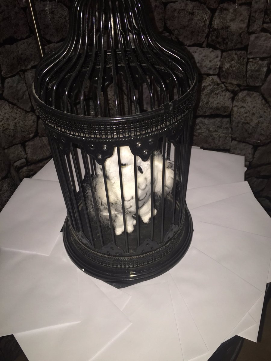 sarghhh's tweet photo. @jk_rowling Your stories inspired my proposal :) complete with a cat named dumbledore #hp #always https://t.co/OEM6Ea5Iuk