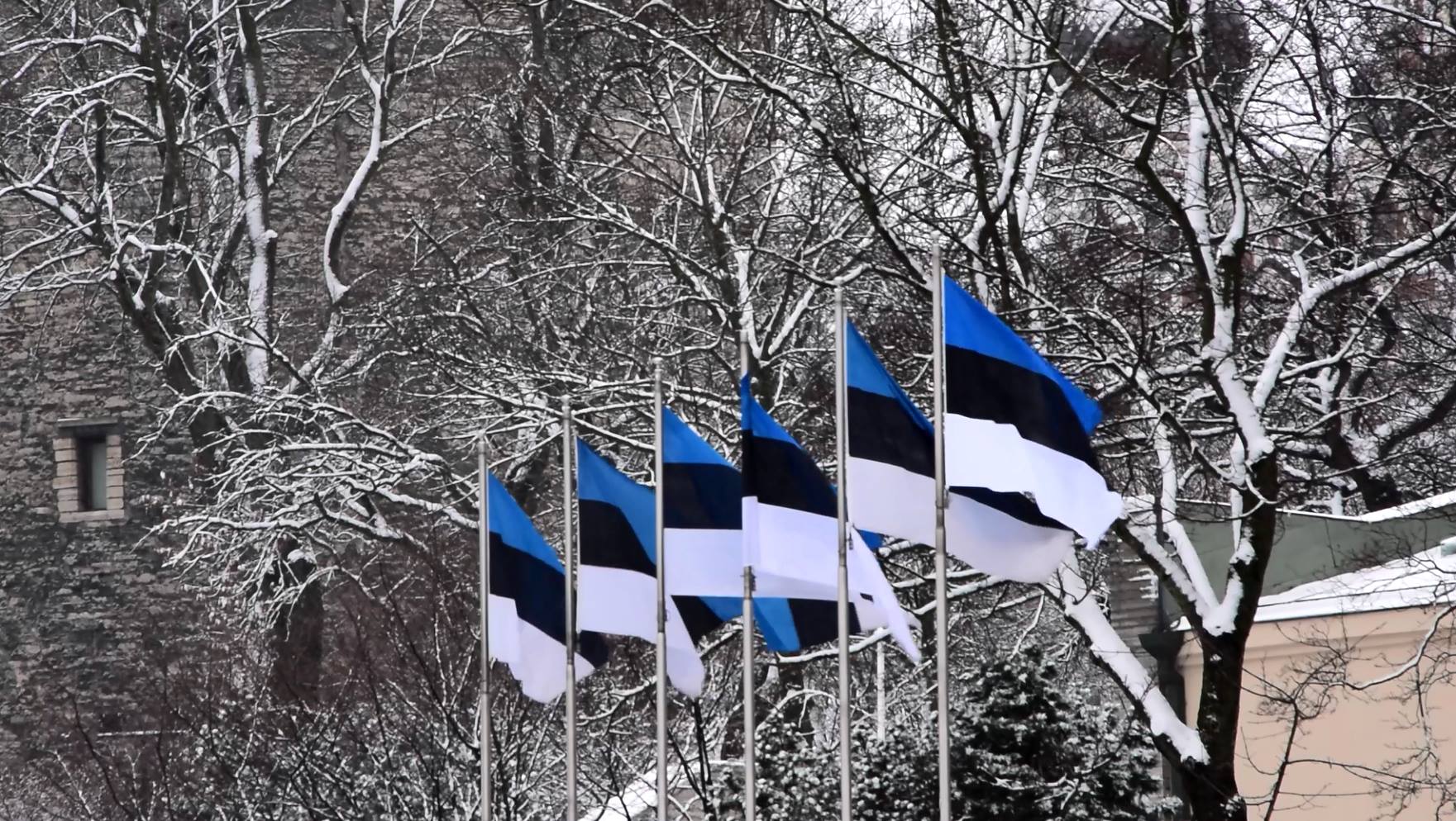VisitTallinn on Twitter: "Happy Birthday, #Estonia! # ...