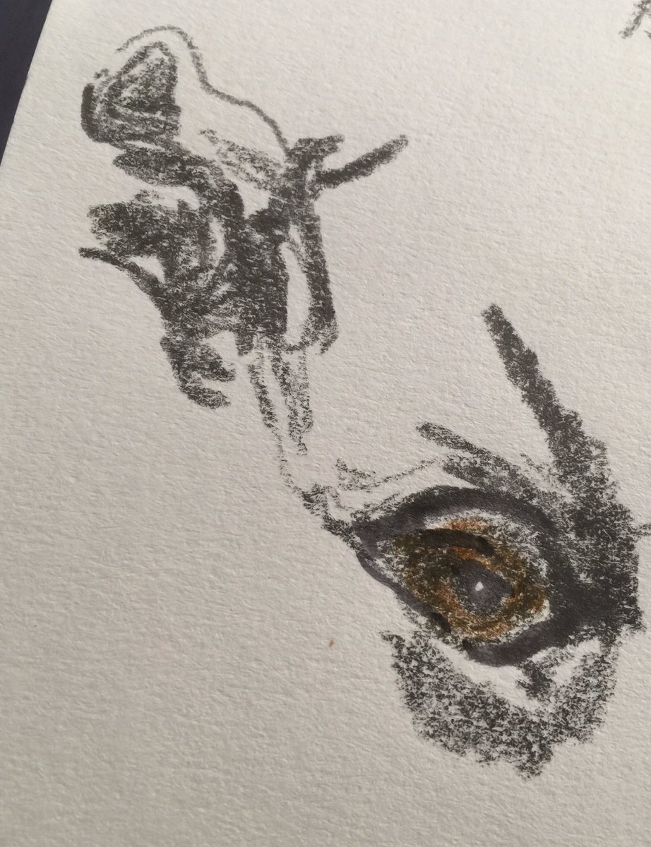 LizAckerleyArt's tweet image. More of the greyhound for my #sketchbookskool #tinyadventures story