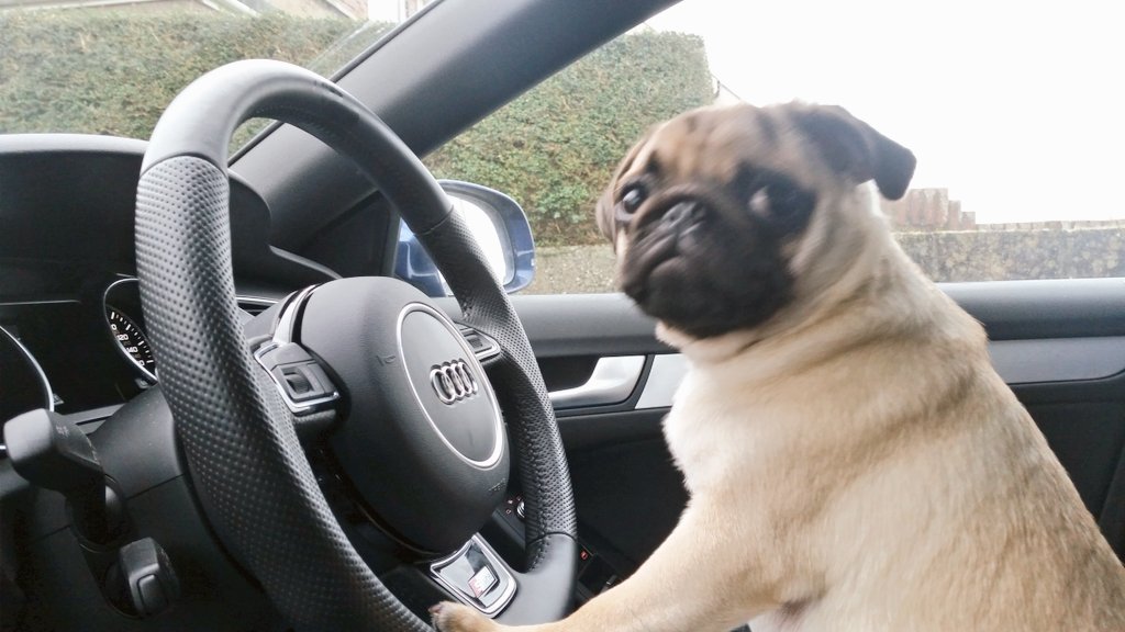 I am late for work again because the kids slept late. Hurry up!