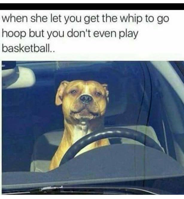 bmonshae_'s tweet photo. 😂💀💀💀 ASF!! https://t.co/ZnctfUz76i