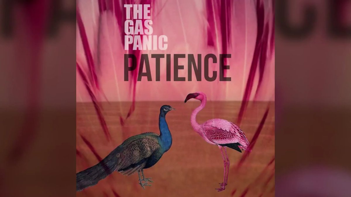 TheGasPanicFans's tweet photo. There's Been Awesome Changes. Listen To A New Version @TheGasPanic - The Last Time I Try https://t.co/jJC9A3ahtg https://t.co/XlWP6CqTvY