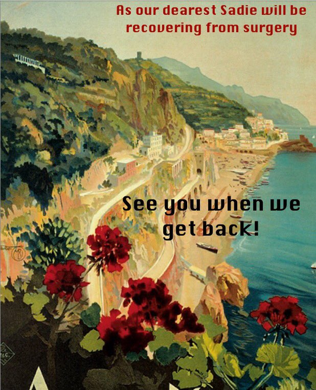 We will be closed for the time being.