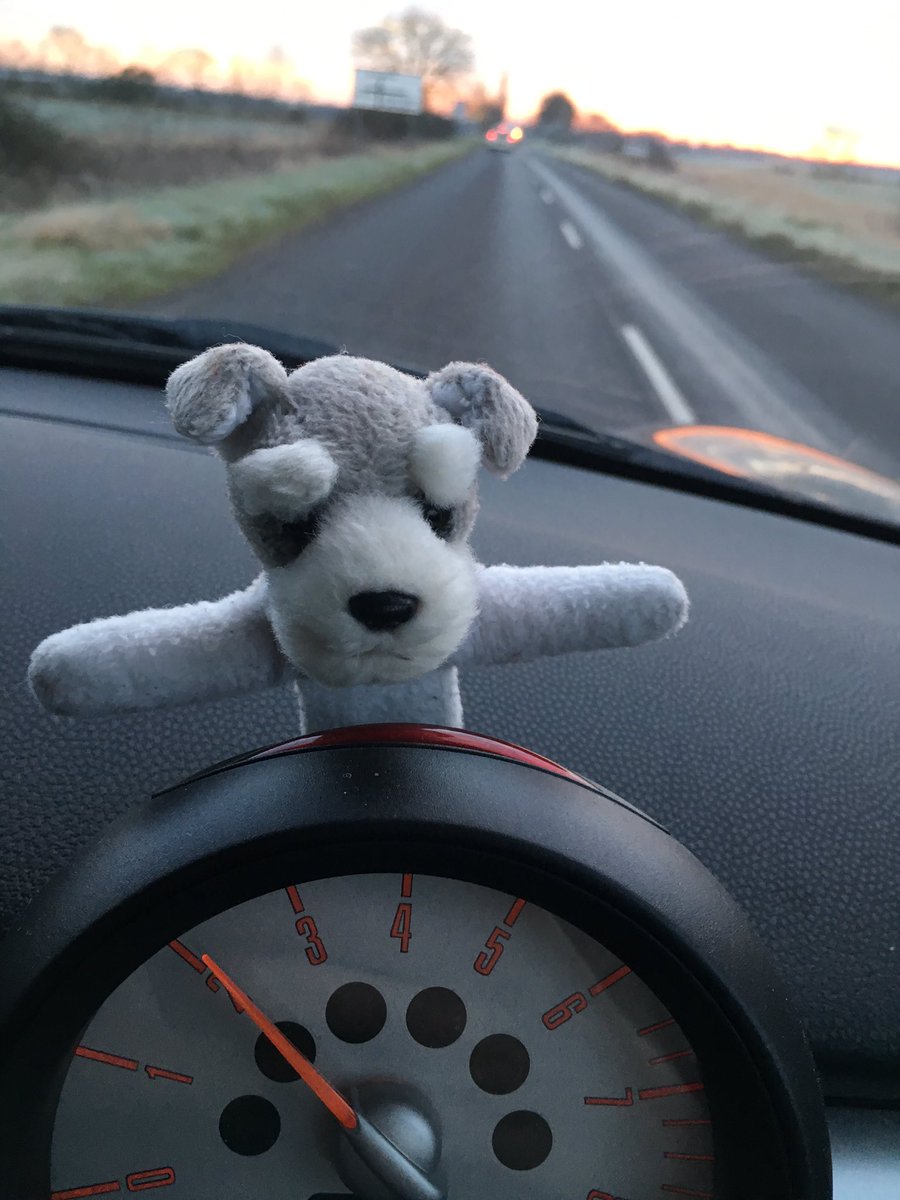 SchnauzMini's tweet photo. Icy roads this morning.  Keeping a close eye on the chauffeur. https://t.co/Jcz9KP6NhN