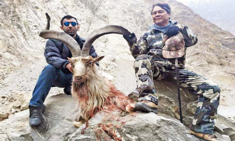 dawn_com's tweet photo. #Filipino hunts highest-rated #Astore markhor in #GB https://t.co/uD5jmfI7Rh https://t.co/Ib0XuvrHt1