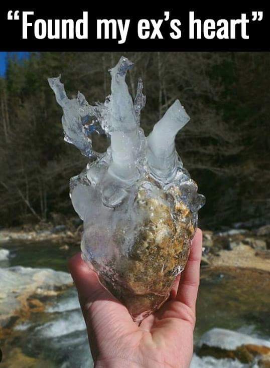 NotSoPCGuy's tweet photo. #IceCold #FullofShit #Heartless #Bitch #whore https://t.co/DR2WS62SmO